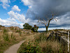 coastpath at svaneke