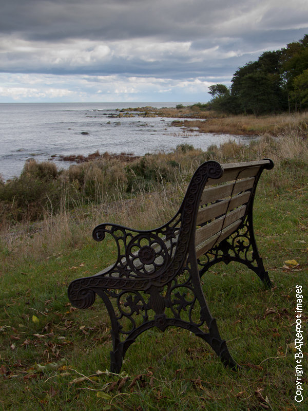 bench at ypnasted