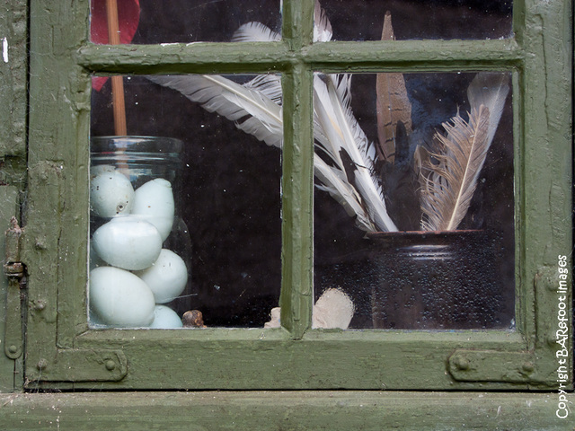 eggs & feathers vs condensation & cobwebs