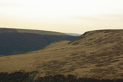 IMGP4004