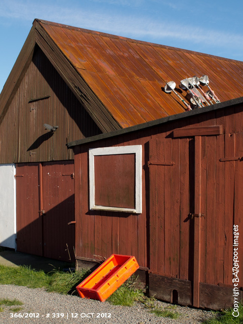 339|366: old shed with fish crate