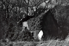 Grange abandonnée