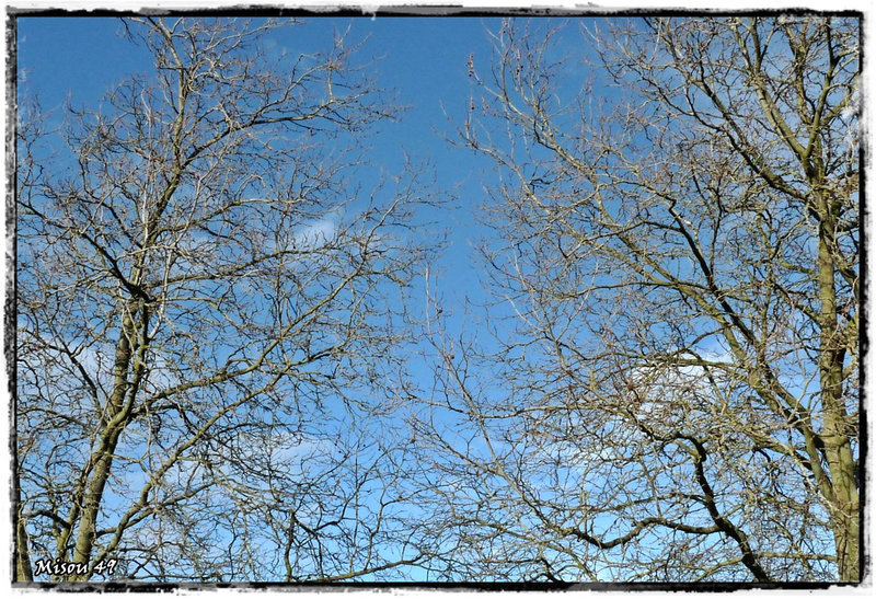 ANGERS