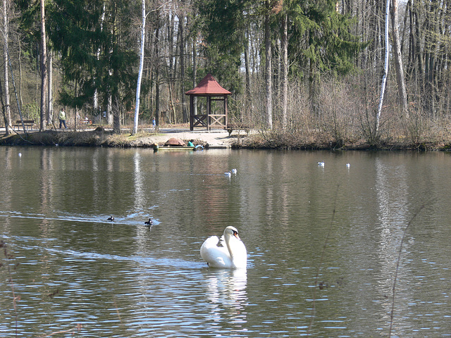 Wildpark Höllohe