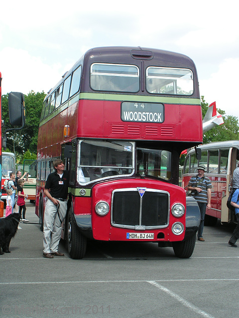 Omnibustreffen Sinsheim/Speyer 2011 254