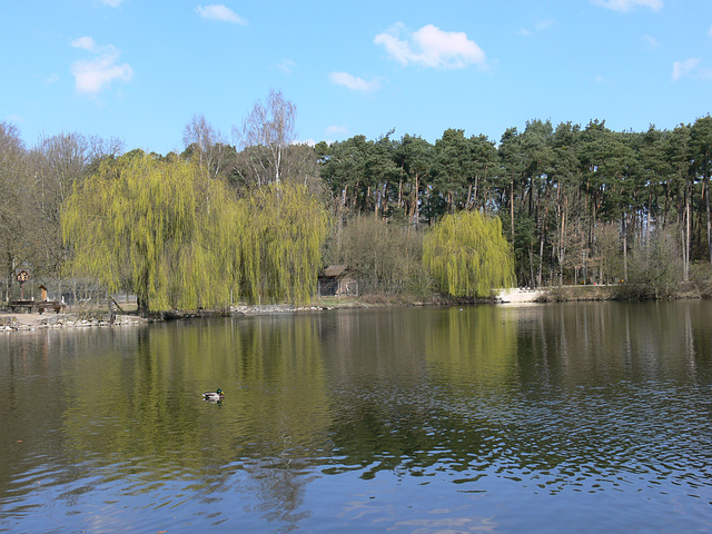 Wildpark Höllohe