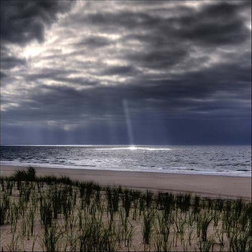 Sunrays touch the sea.