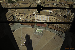 Siena - view from the Torre del Mangia onto the Piazza del Campo