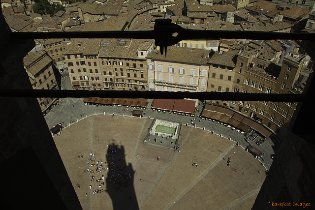 Siena - view from the Torre del Mangia onto the Piazza del Campo