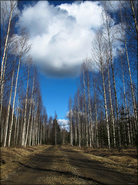 heavy cloud