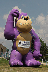 Ames Performance Monkey