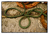 The Cobb Series: ropes