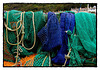 The Cobb Series: fishing nets