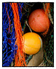 The Cobb Series: fishing nets, detail II