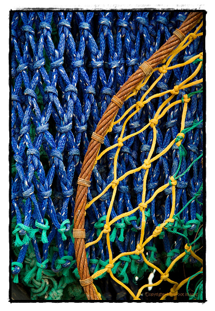 The Cobb Series: fishing nets, detail V