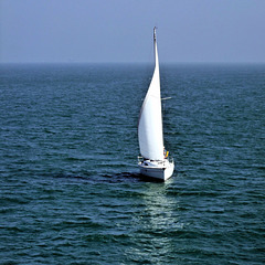 On the Solent 1