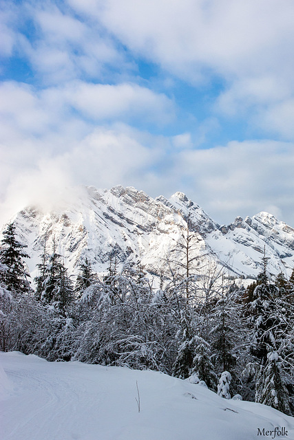 Montagne embrumée