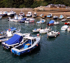 Bonne Nuit Bay Jersey