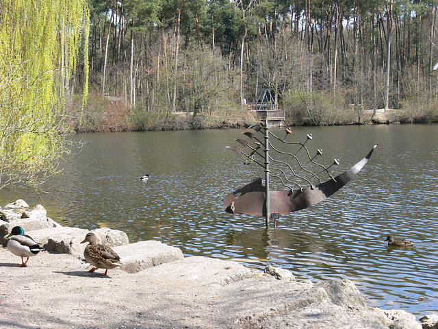 Wildpark Höllohe