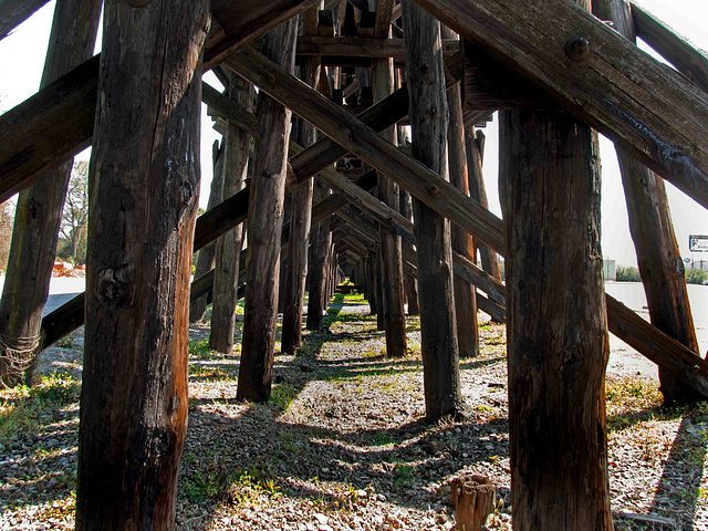 Under the Trestle