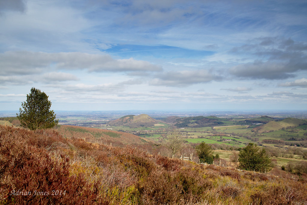 Shropshire View