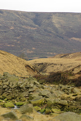 IMGP3965