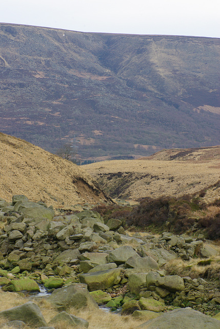 IMGP3967