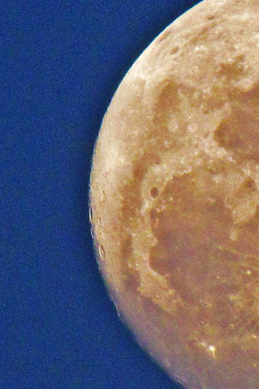 The Moon