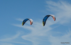 Surfing kites against the sky