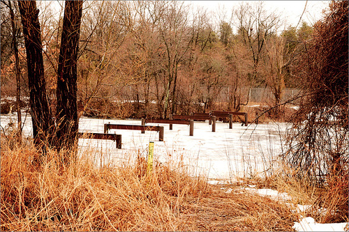 The Ruin at the End of Bridge Street