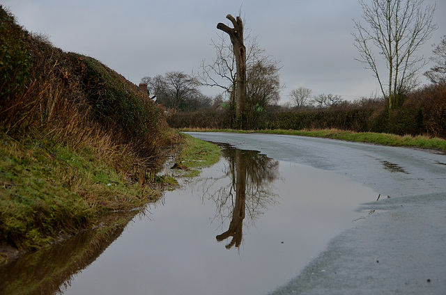 Very wet country lanes, Haughton