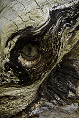 Das Auge des Zyklopen - The Eye of the Cyclops