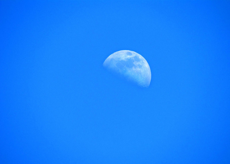 Daytime Moon