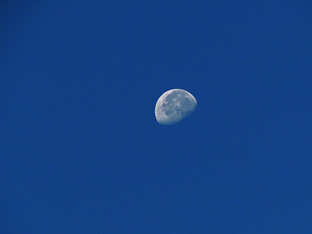 Daytime Moon