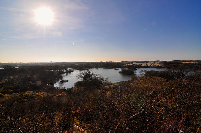 The dunes between The Hague and Wassenaar