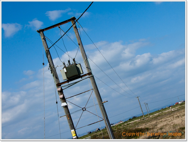 dungeness II