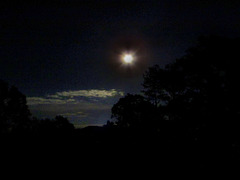Moonlit Clouds