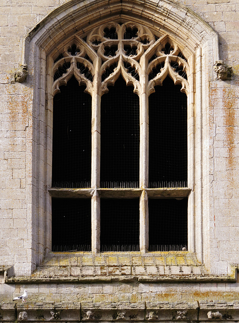 great gate, bury st.edmunds abbey, suffolk