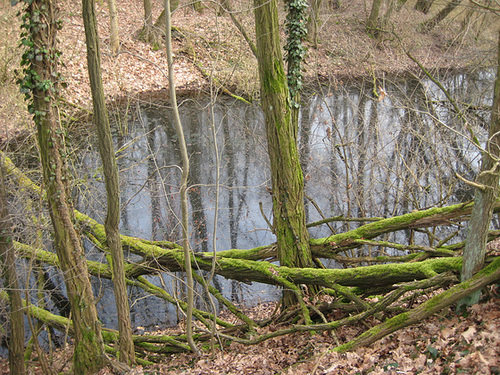 Rehagen/Klausdorf - Bodengeopfad