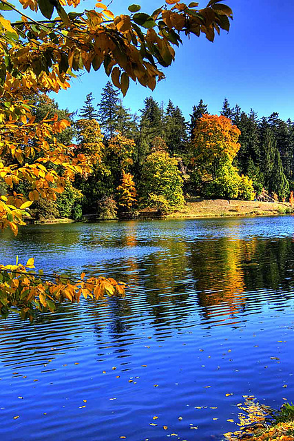 Průhonice Park