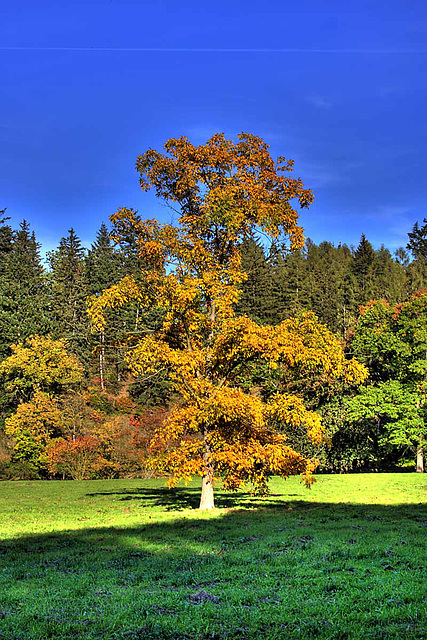 Průhonice Park_4