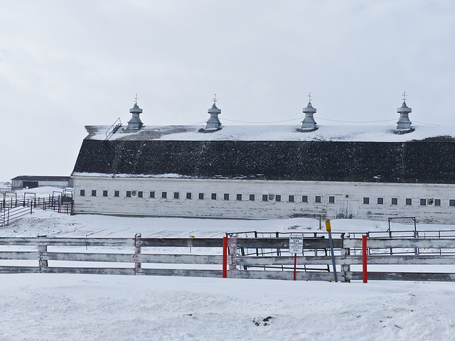 Barn beauty