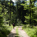 Dans le Morvan