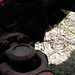 zf ak6-80 009