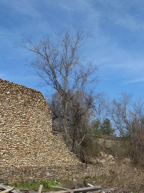 Ruins of Wall