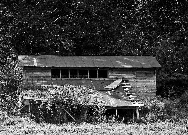 Corn Crib in Black and White