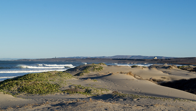 Lompoc Ocean Beach (1198)