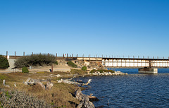 Lompoc Ocean Beach (1184)