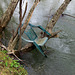 Flood Debris on Big Wills Creek