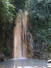 St. Lucia Botanical Gardens (10) - 11 March 2014